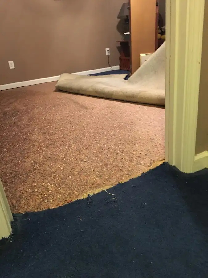 Carpet pad removal revealing water damage during Drying & Dehumidification in Elk River
