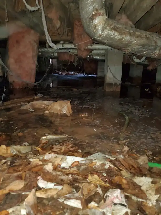 Crawl space flood assessment for Leak Detection & Repair in Elk River