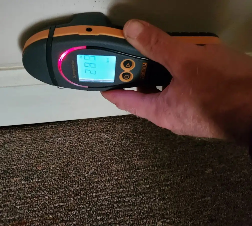 Moisture detection at baseboard during Sewage Cleanup & Sanitation in Elk River